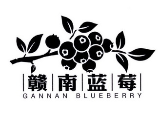 蓝莓品牌logo图片