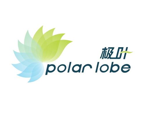 极叶 palar lobe