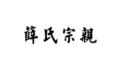 薛氏宗亲                                  