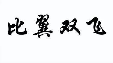 比翼双飞