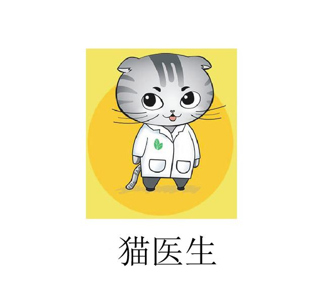 猫 em>医生 /em>