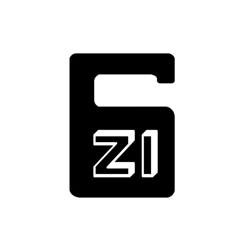 zi 6