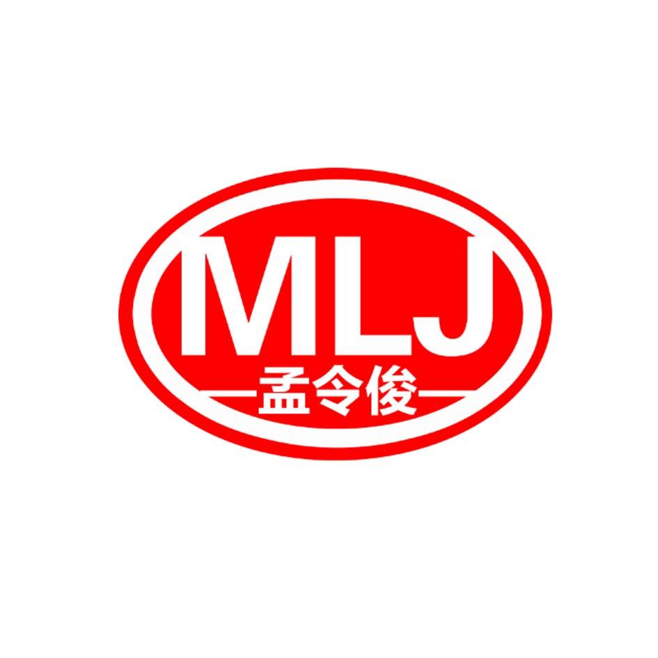 em>孟令俊/em mlj