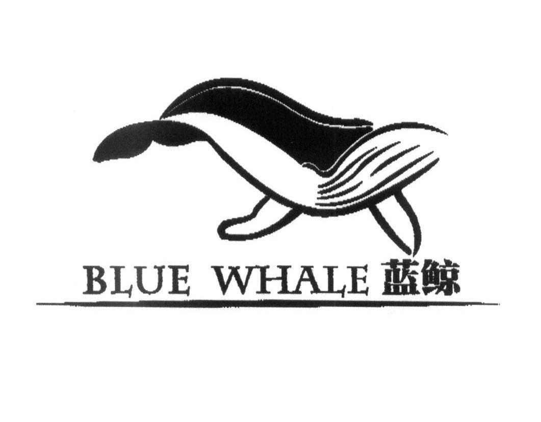 em>蓝鲸/em em>blue/em em>whale/em>