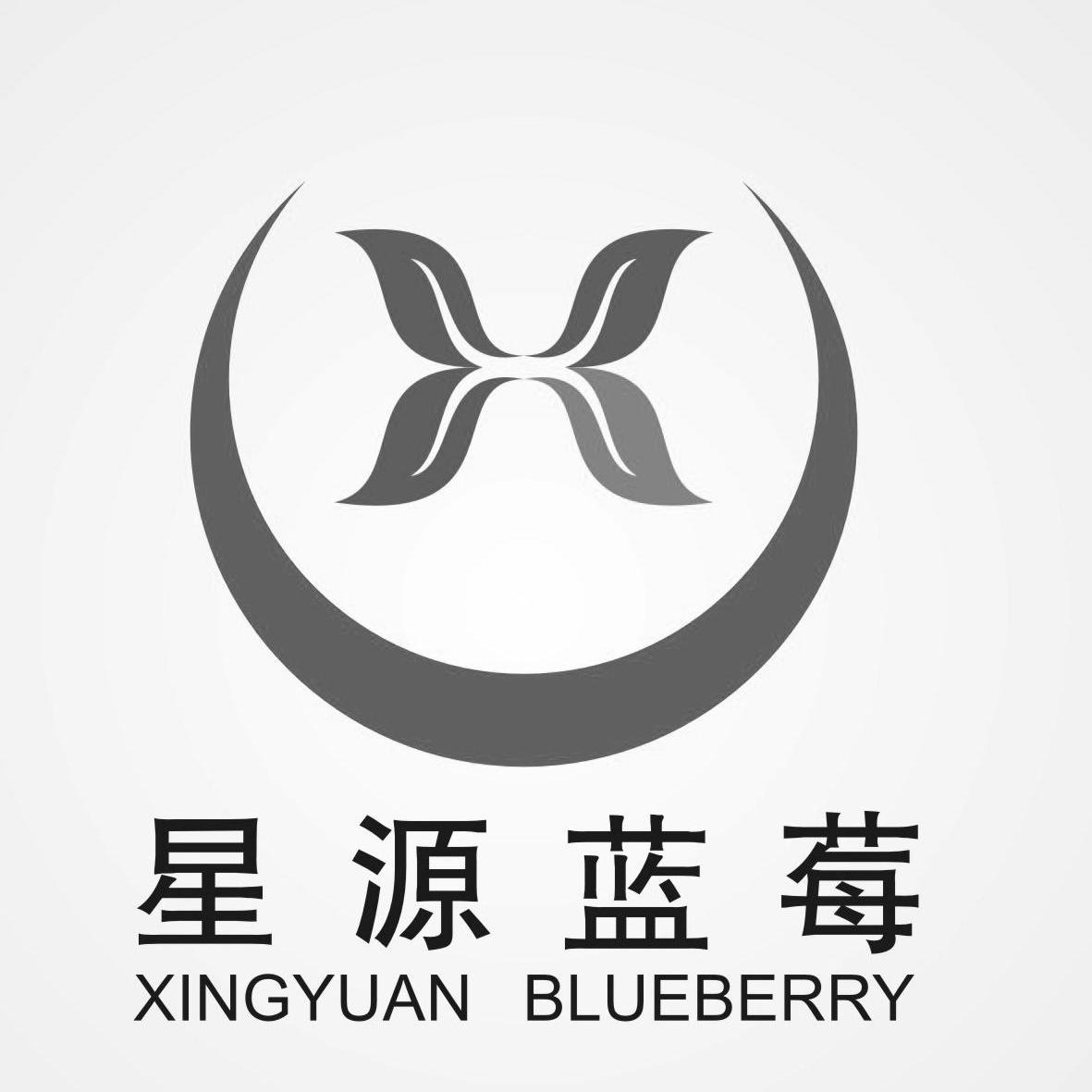 蓝莓品牌logo图片