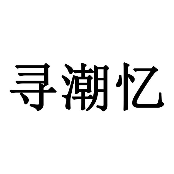 寻潮忆