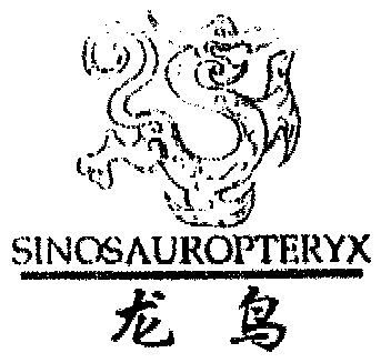 龙鸟;sinosauropteryx商标续展申请/注册号:1557127申请日期:2000-04