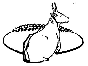 铜牛- 商标 - 爱企查