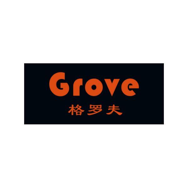 格罗夫  em>grove /em>
