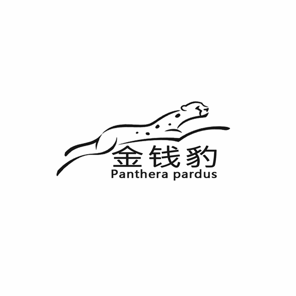 em 金钱豹 /em  panthera pardus