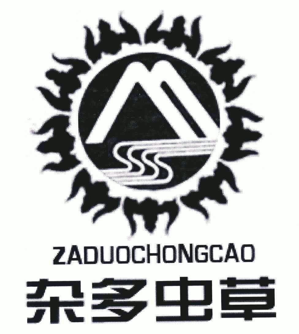  em>杂多虫草 /em>