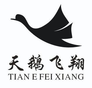  em>天鹅 /em> em>飞翔 /em>