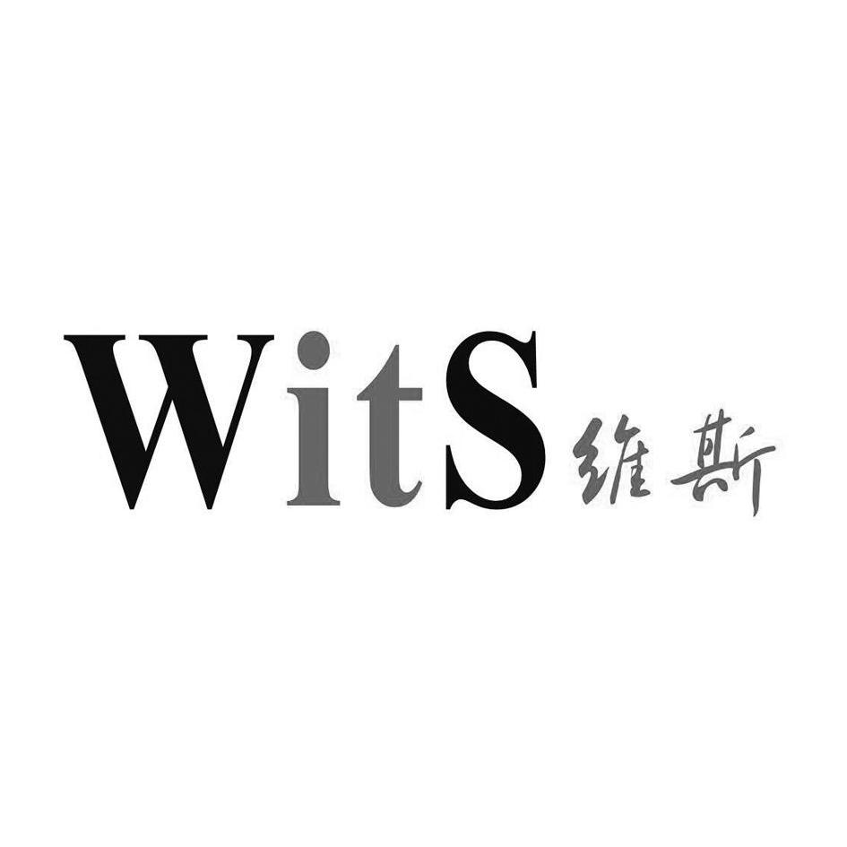 维斯wits