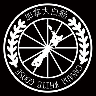 加拿大白鹅 canada  em>white /em> goose