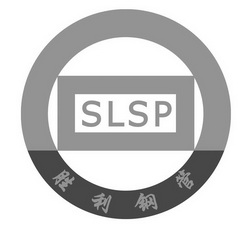 胜利钢管 slsp                             