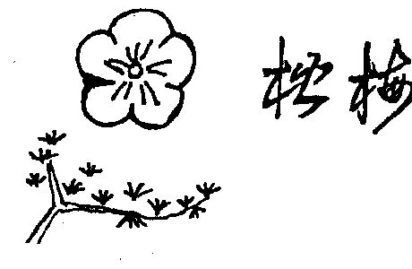松梅                   