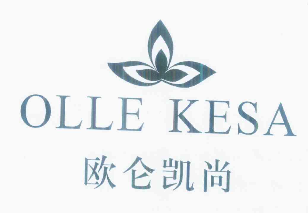  em>歐侖 /em>凱尚 olle kesa