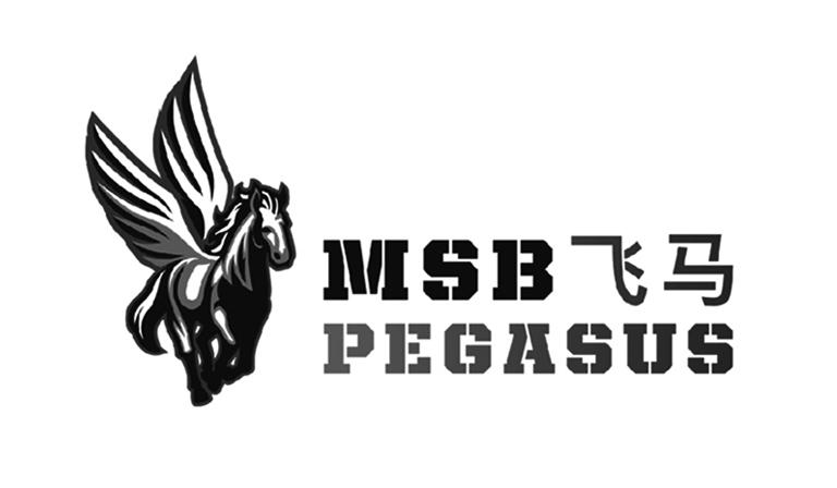 pegasus飞马_企业商标大全_商标信息查询_爱企查