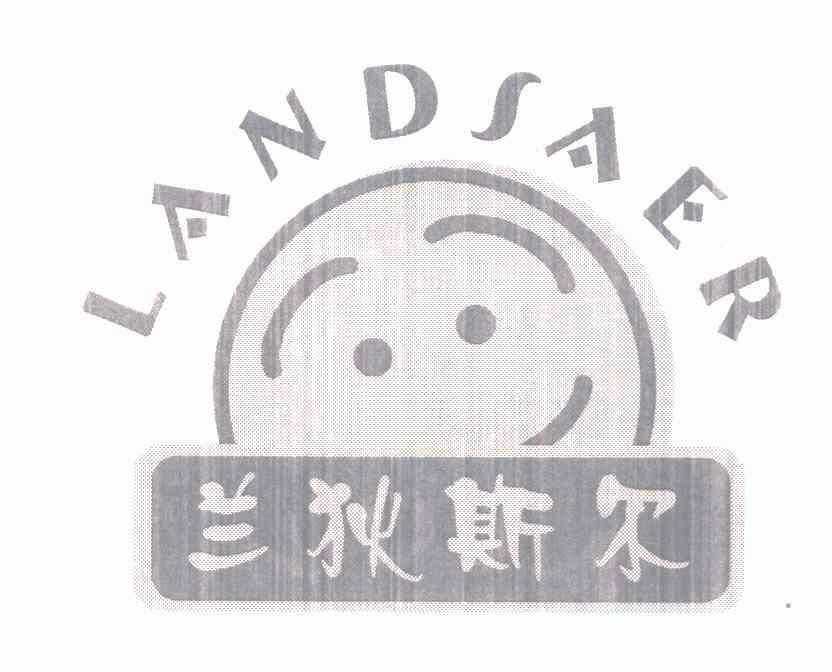 蘭狄斯爾;landsaer