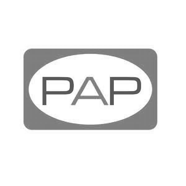 pap 商标注册申请注册公告排版完成