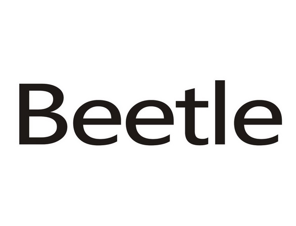 beetle                                    