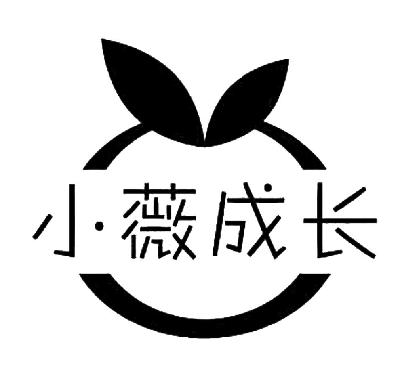  em>小薇 /em> em>成长 /em>