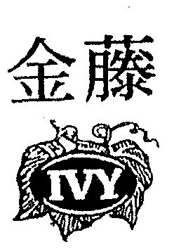  em>金 /em> em>藤 /em>  em>ivy /em>