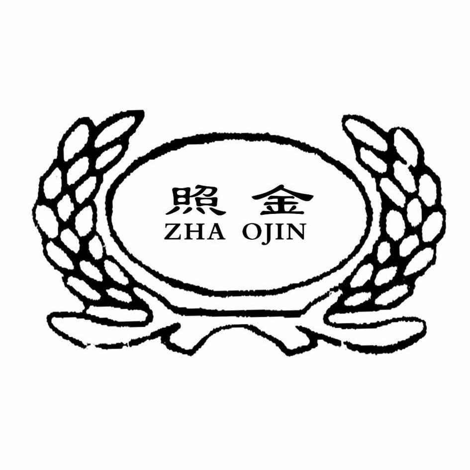 照金_企业商标大全_商标信息查询_爱企查