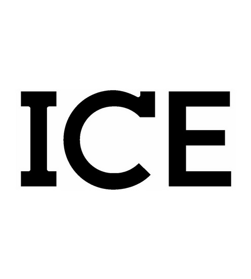 ice意思图片