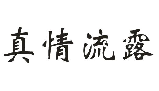 真情字体图片