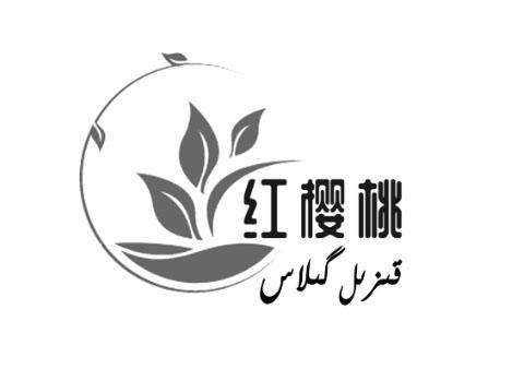 商标详情申请人:巴楚县红樱桃林果业专业合作社 办理/代理机构:新疆品