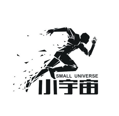 小宇宙  em>small /em>  em>universe /em>