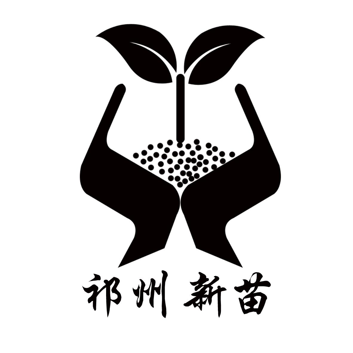  em>祁州 /em> em>新苗 /em>