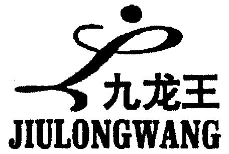 九龙王                                    