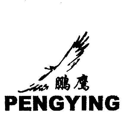 鹏鹰- 商标 - 爱企查
