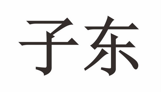 子东_企业商标大全_商标信息查询_爱企查
