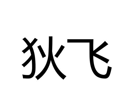 em>狄飞/em>