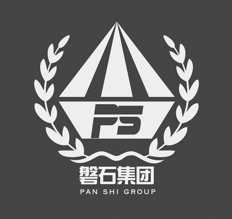  em>ps /em> 磐石集团 pan shi  em>group /em>