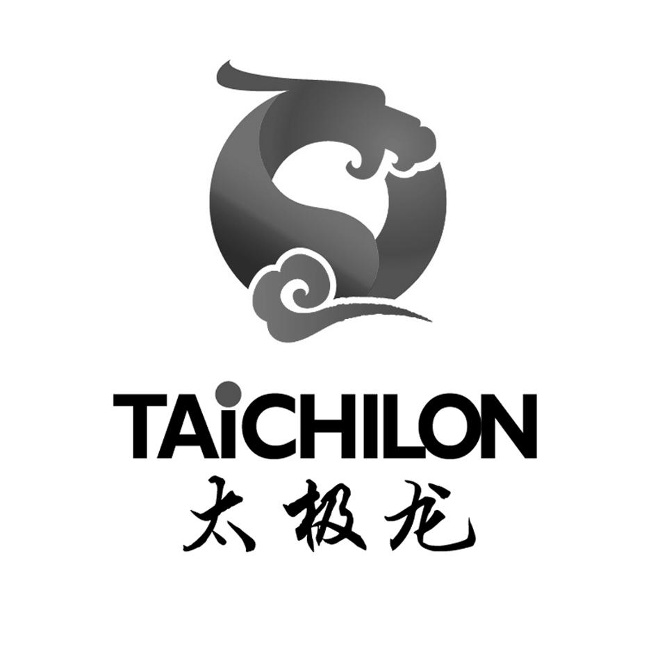 太极龙 em>taichilon/em>