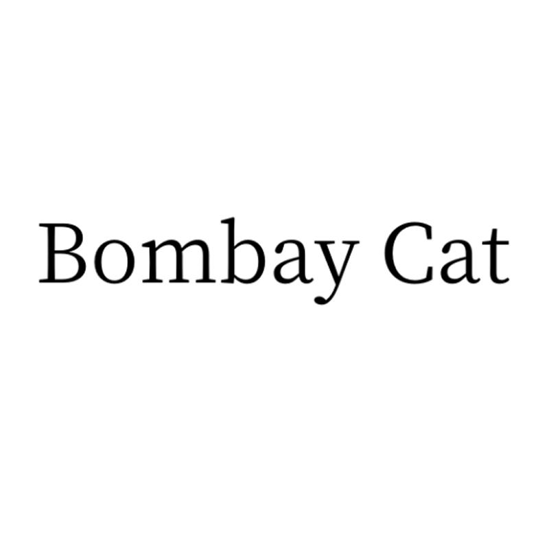 bombay cat