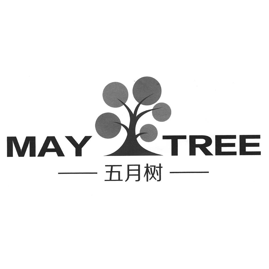 maytree五月树图片