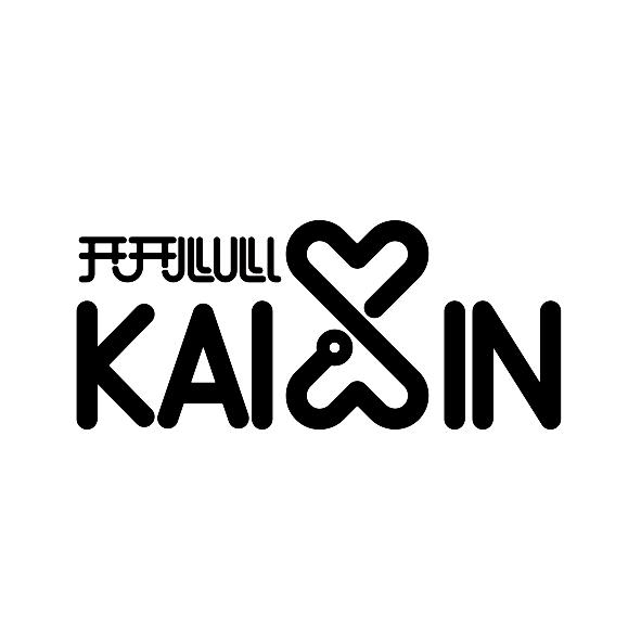 开开心心 kaixin