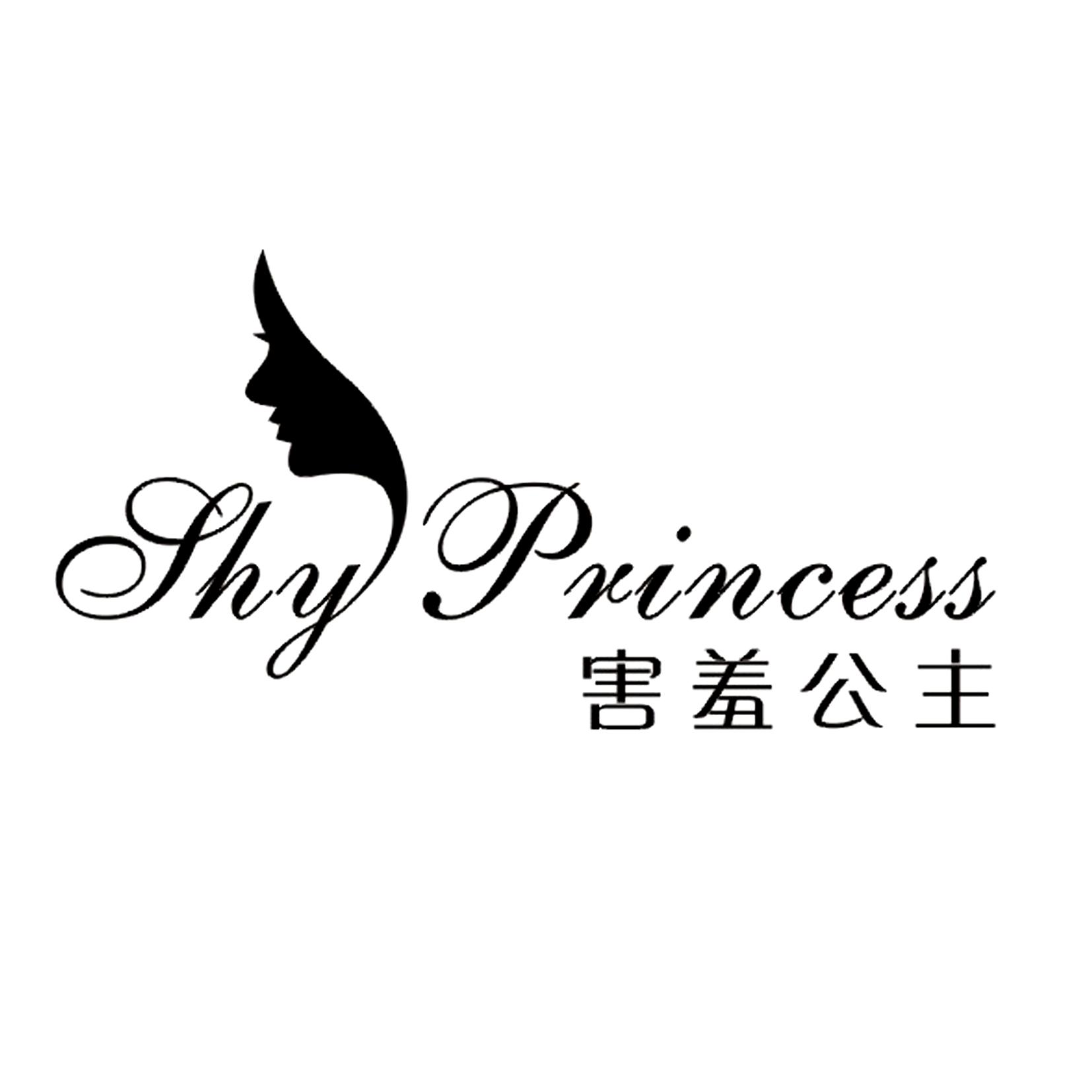 princess好看的字体图片