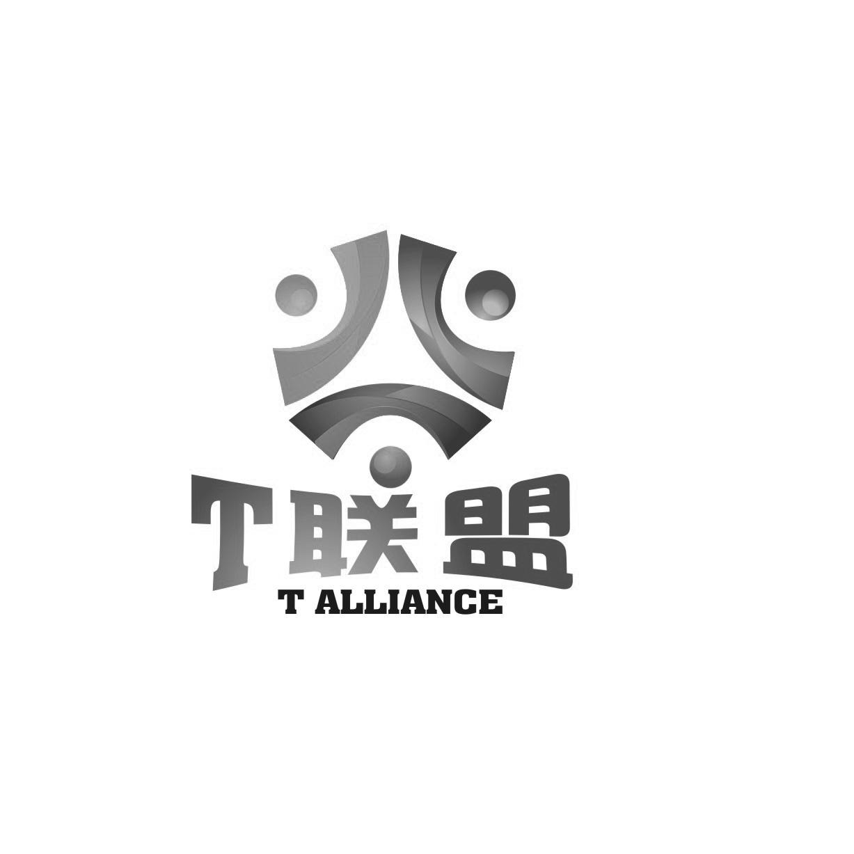  em>t /em>  em>联盟 /em>  em>t /em> alliance