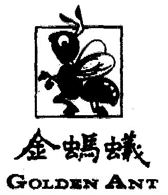  em>金蚂蚁 /em> em>golden /em> em>ant /em>