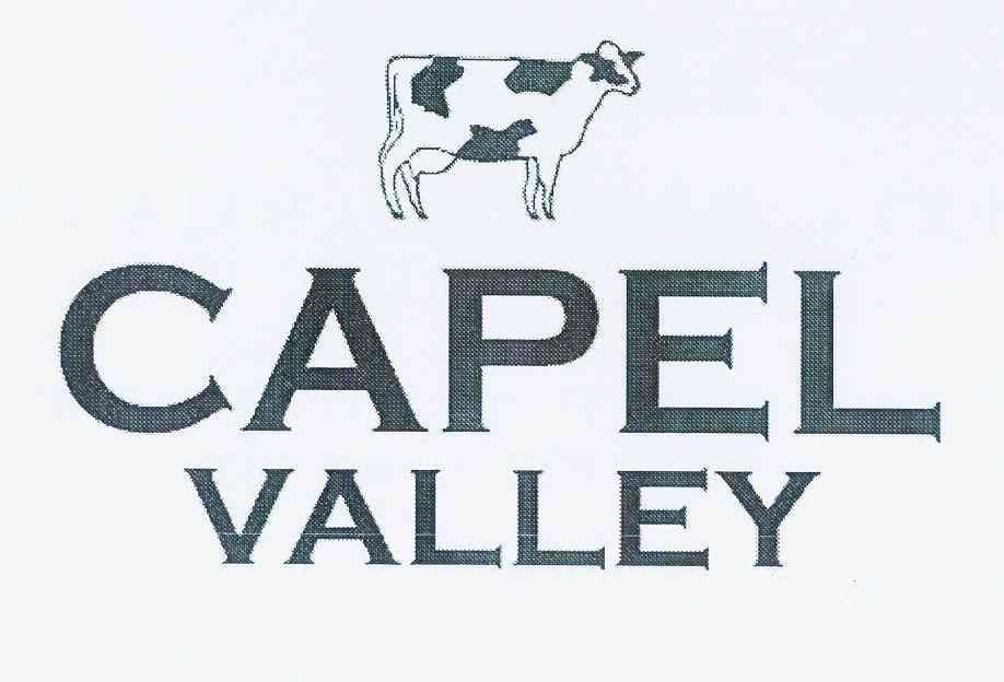  em>capel /em>  em>valley /em>