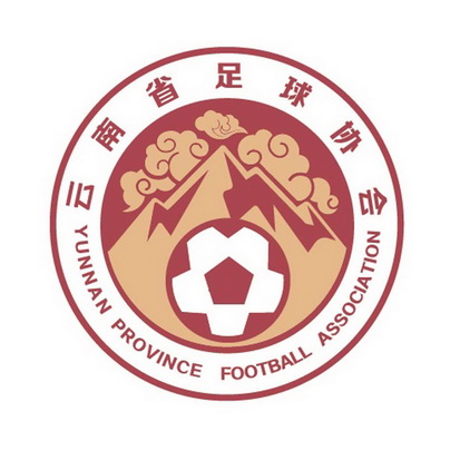 云南省足球协会 YUNNAN PROVINCE FOOTBALL ASSOCIATION - 商标 - 爱企查