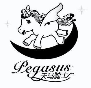  em>天马 /em>骑士 pegasus