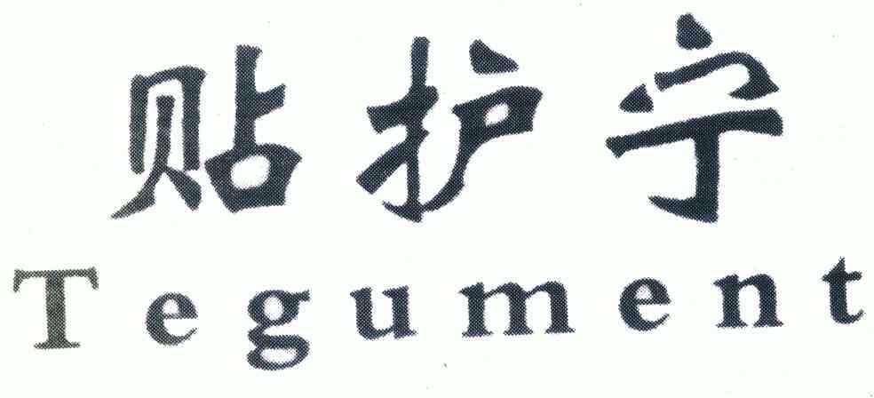  em>贴护宁 /em>  em>tegument /em>