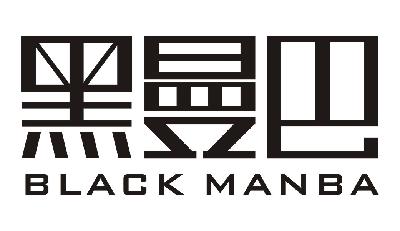  em>黑 /em> em>曼巴 /em> black manba